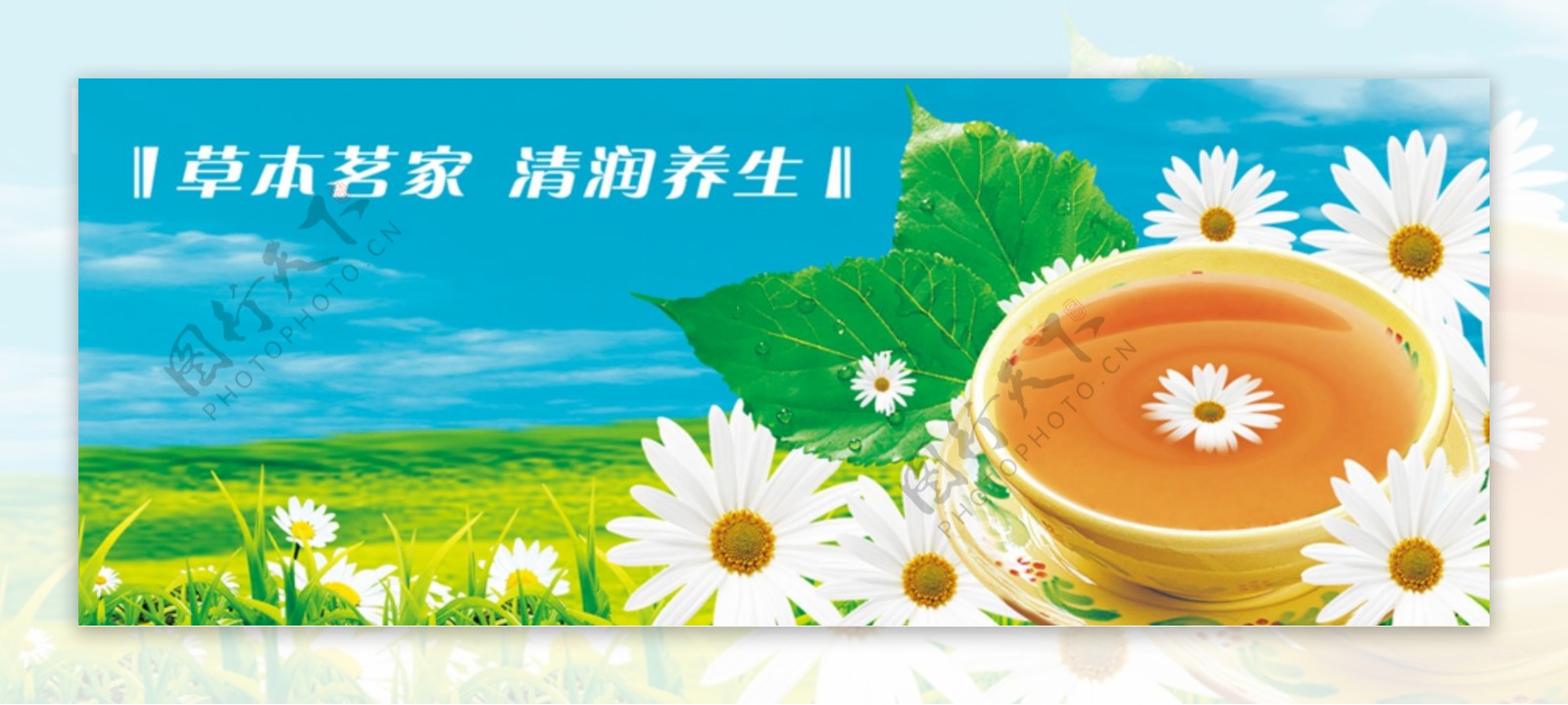 滁州菊花网页广告图片