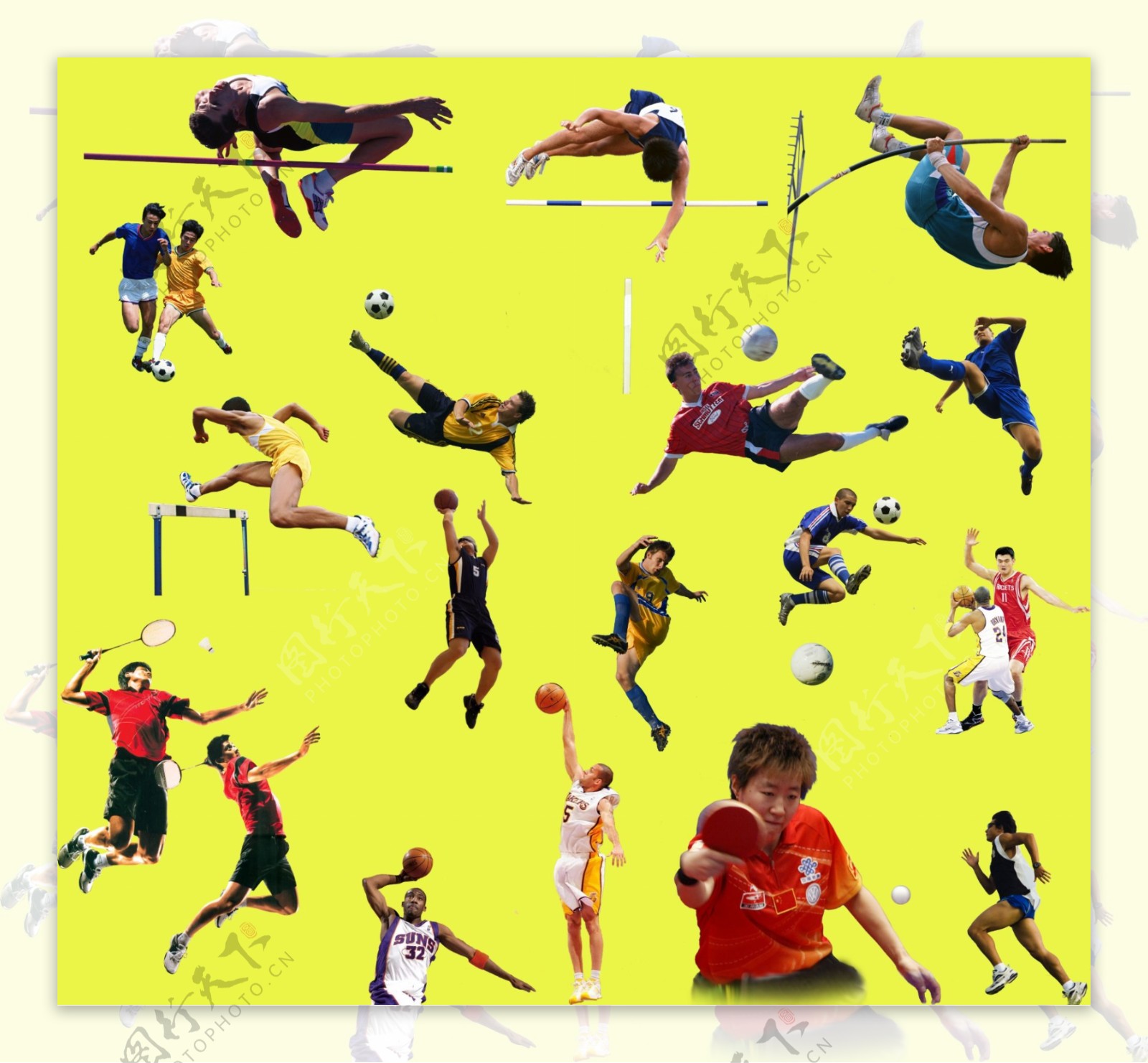 体育运动分层图片