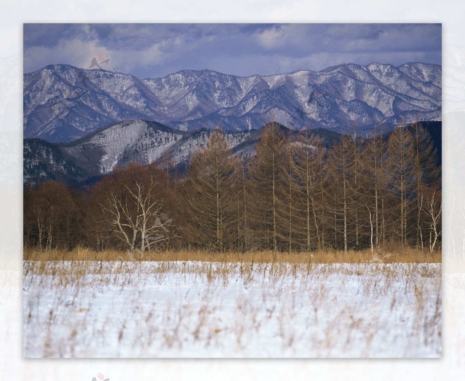 冬天雪景