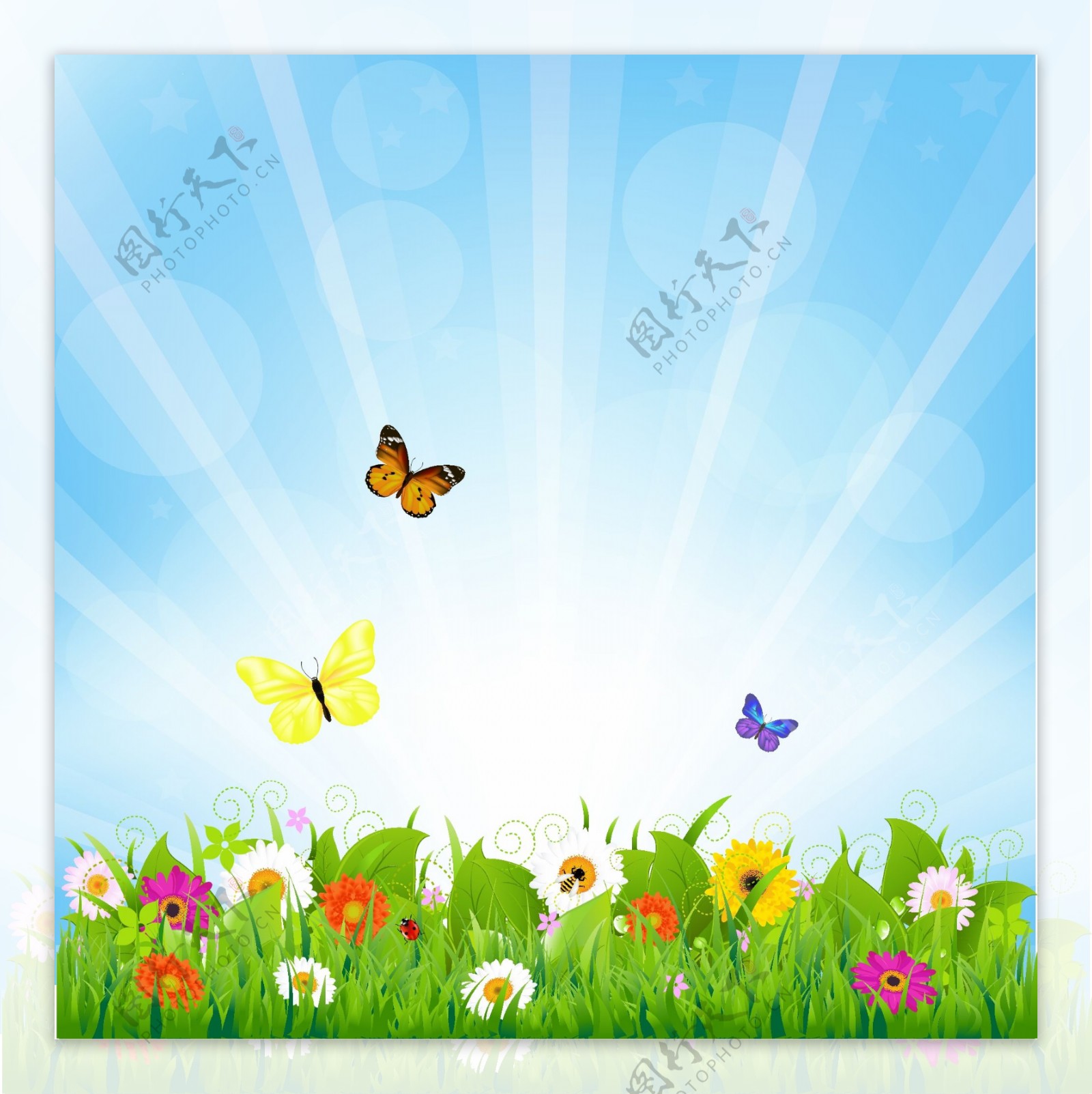 草地鲜花蝴蝶春天背景图片