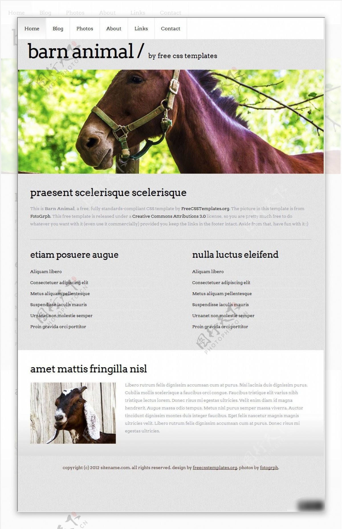动物养殖类网页设计
