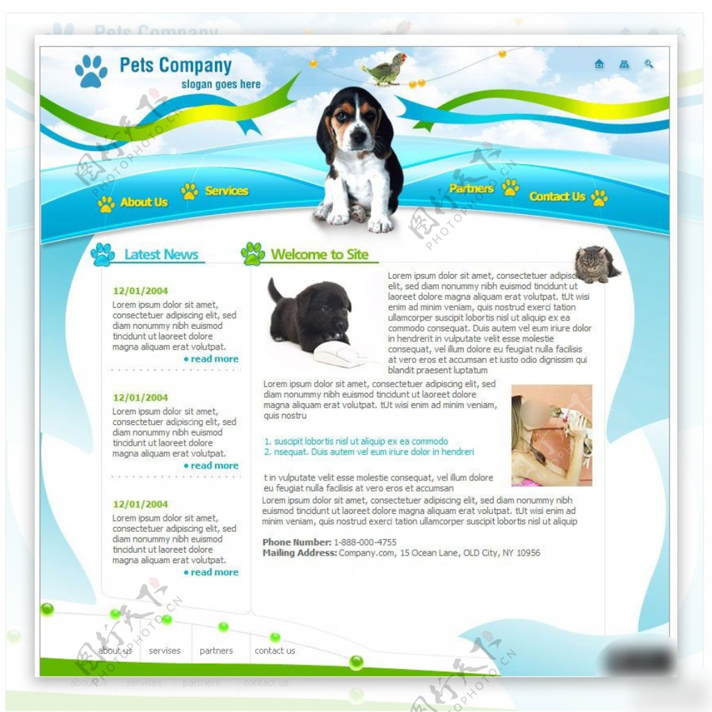 宠物医院网站设计
