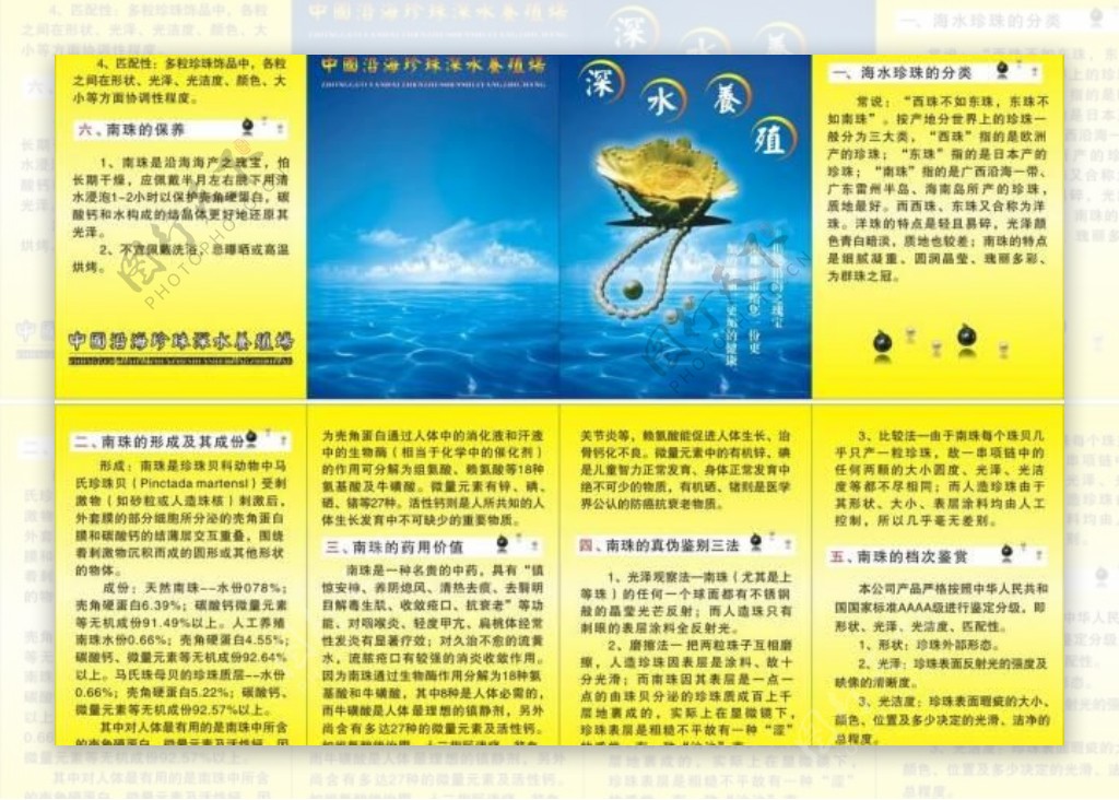 中国沿海珍珠深水养图片