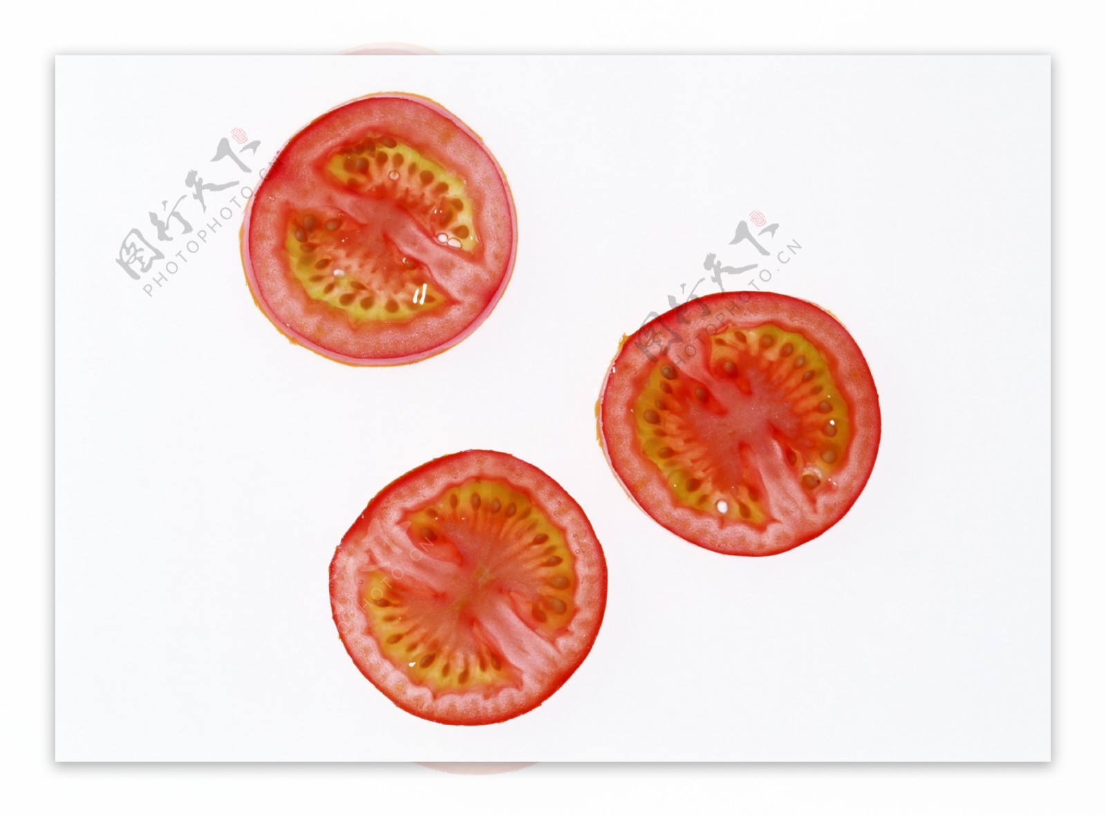 番茄西红柿小番茄红番茄红西红柿特写高清晰