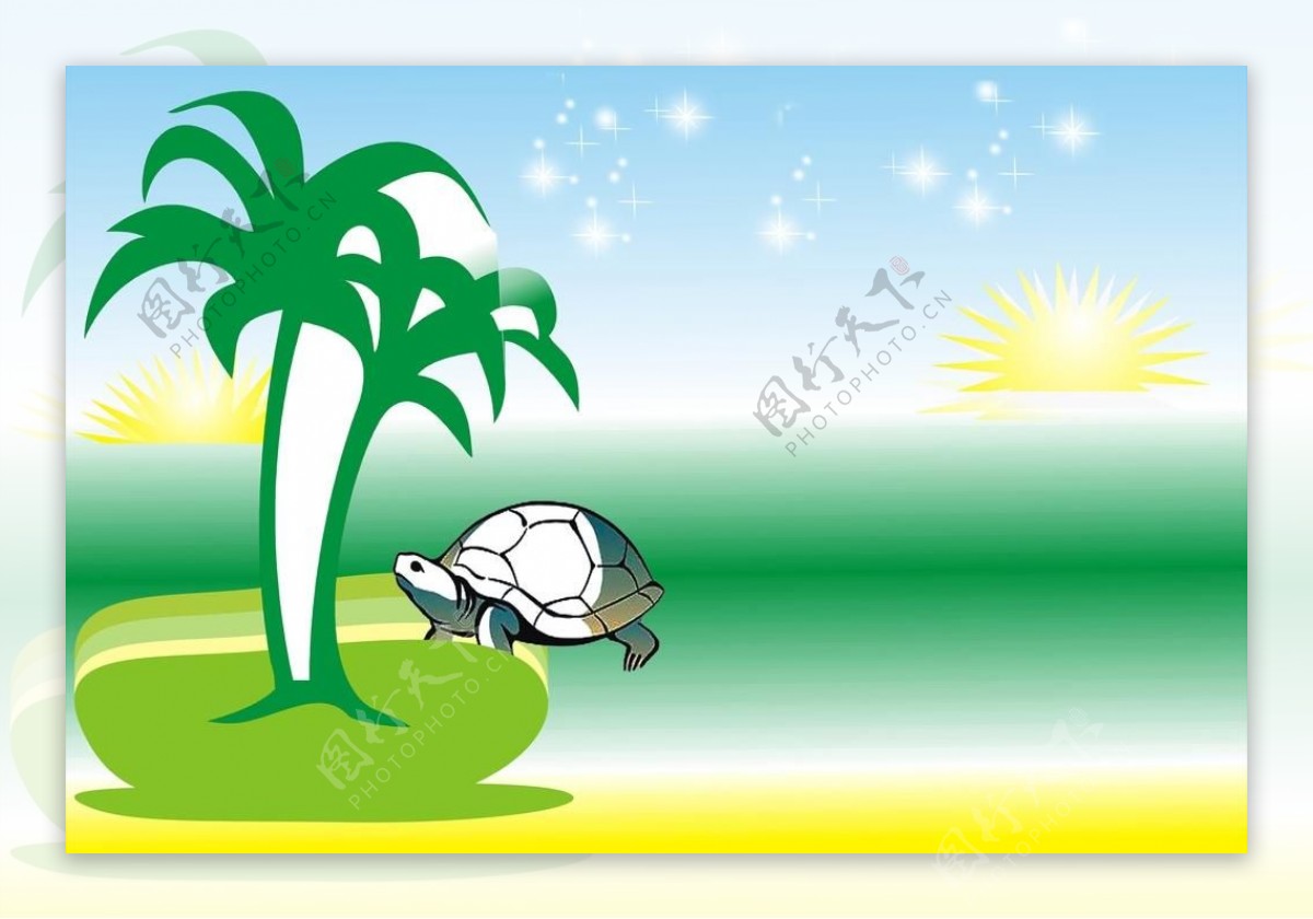 椰子树龟