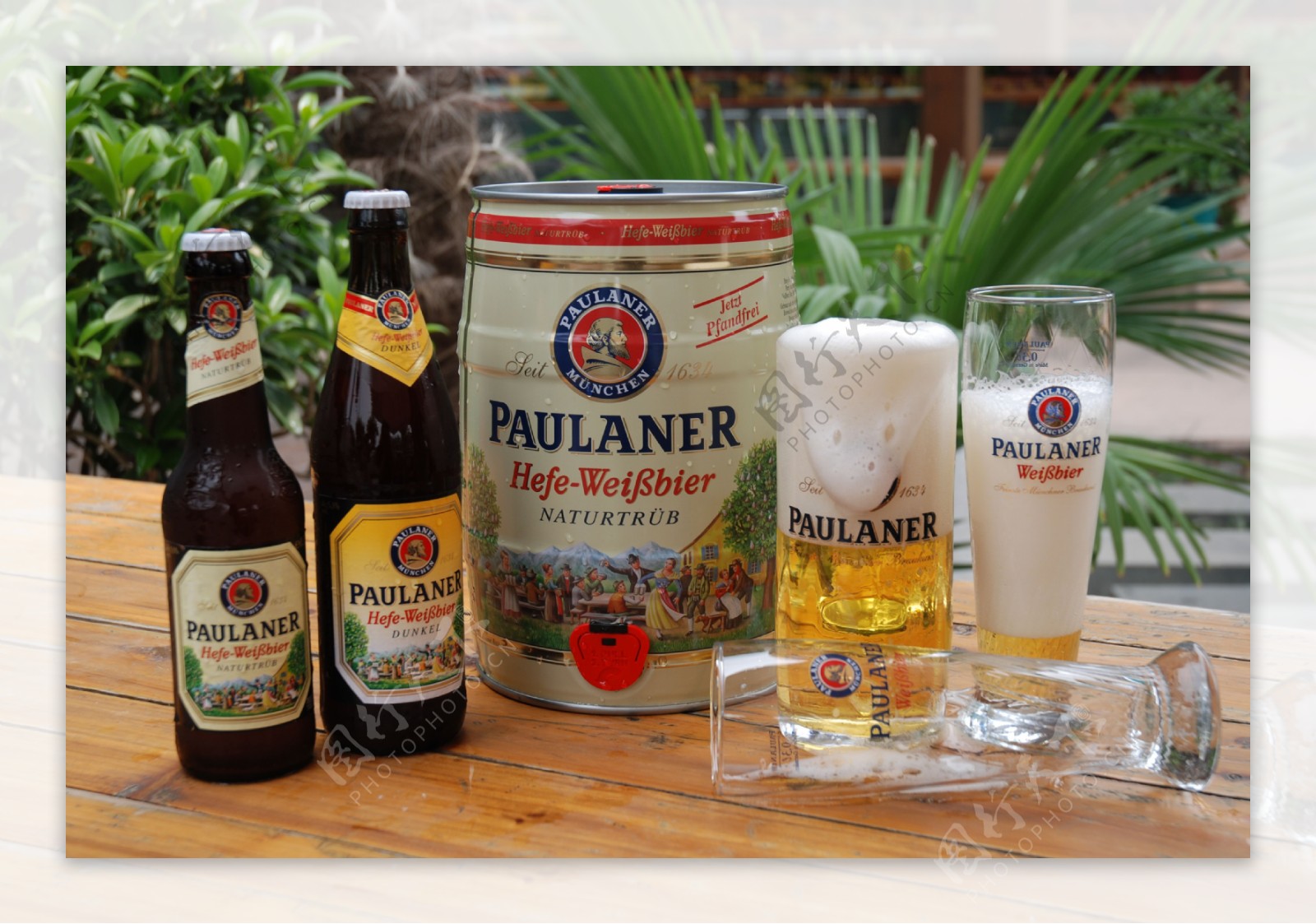 马来西亚柏龙啤酒图片