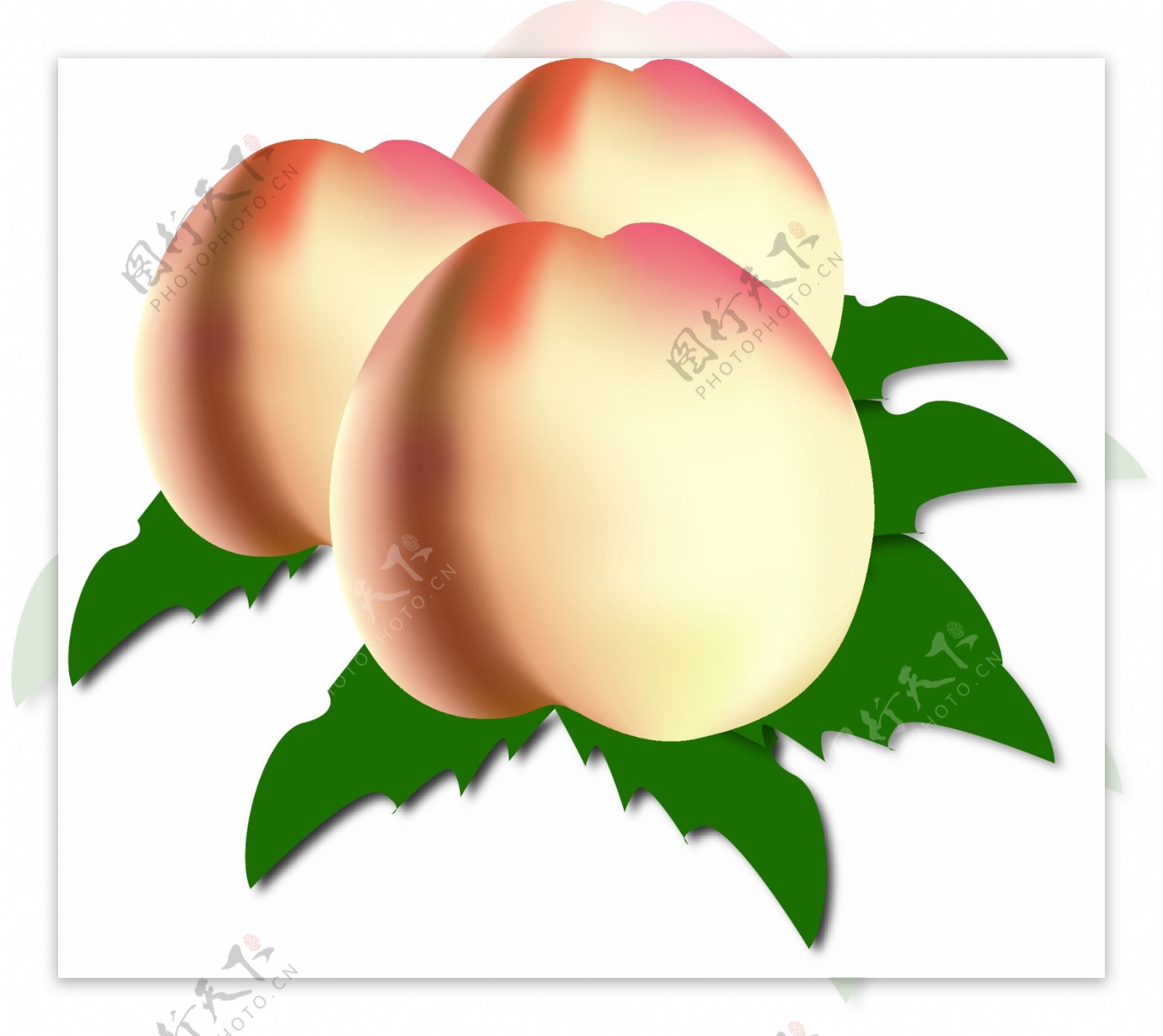 矢量桃子水果桃子图片