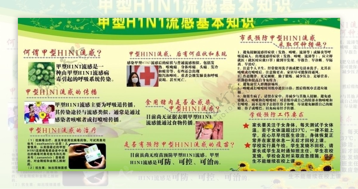 h1n1流感预防知识图片