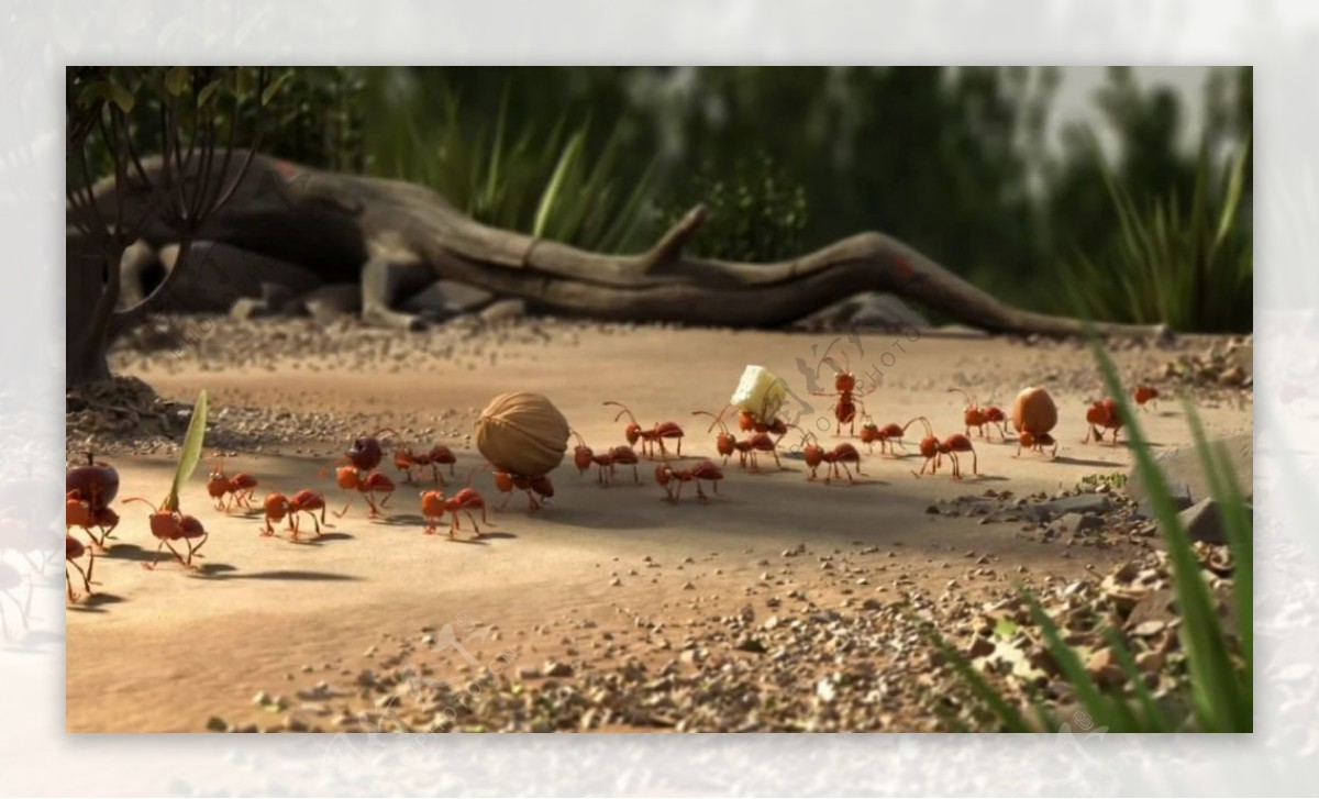Lijn动画广告蚂蚁视频素材