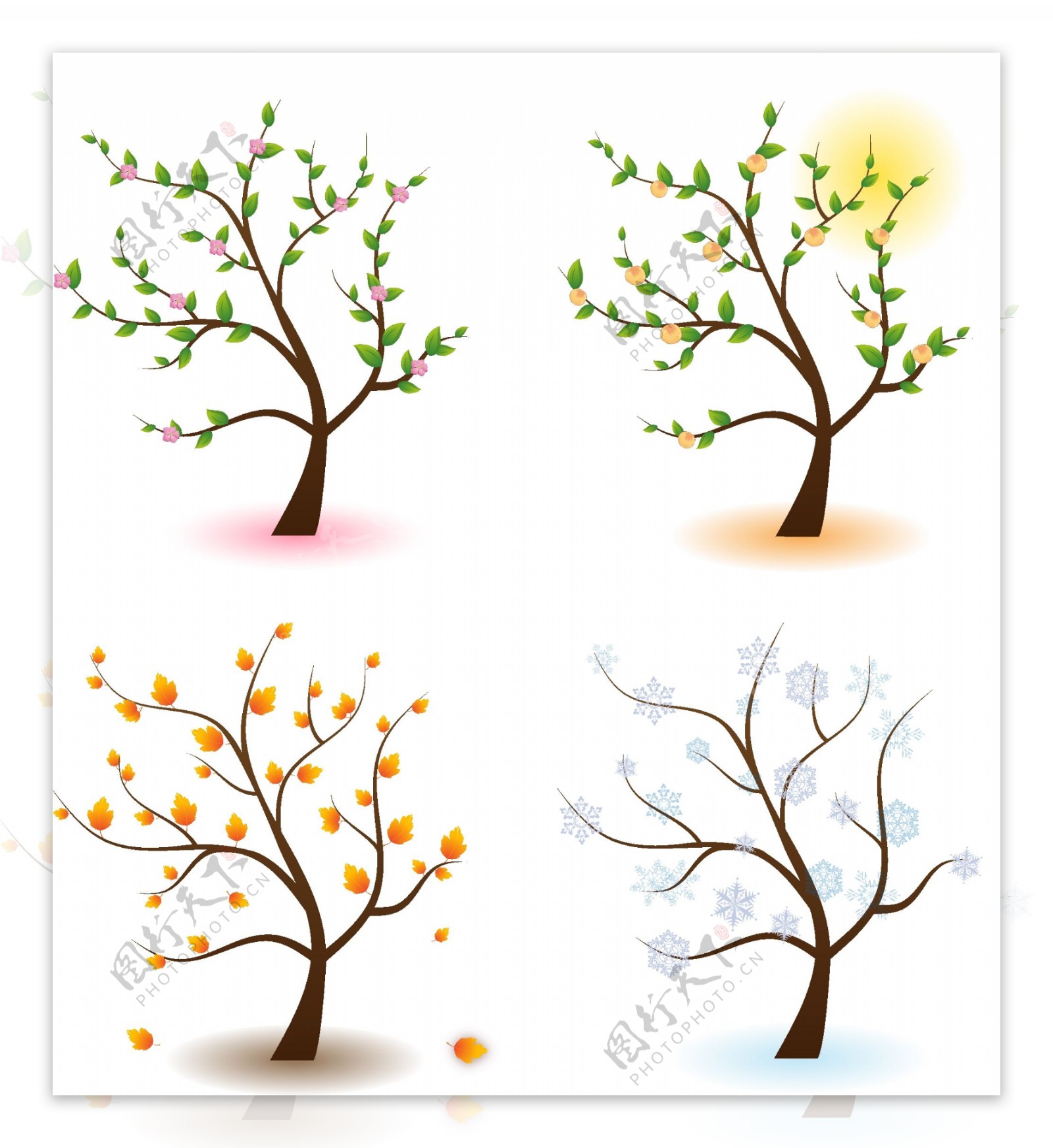 4种季节的树木