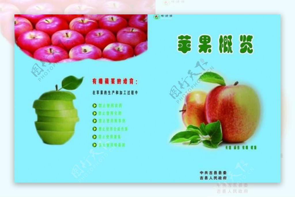 吉县有机苹果画册封皮图片