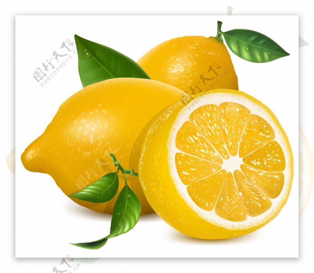 新鲜黄色柠檬矢量素材