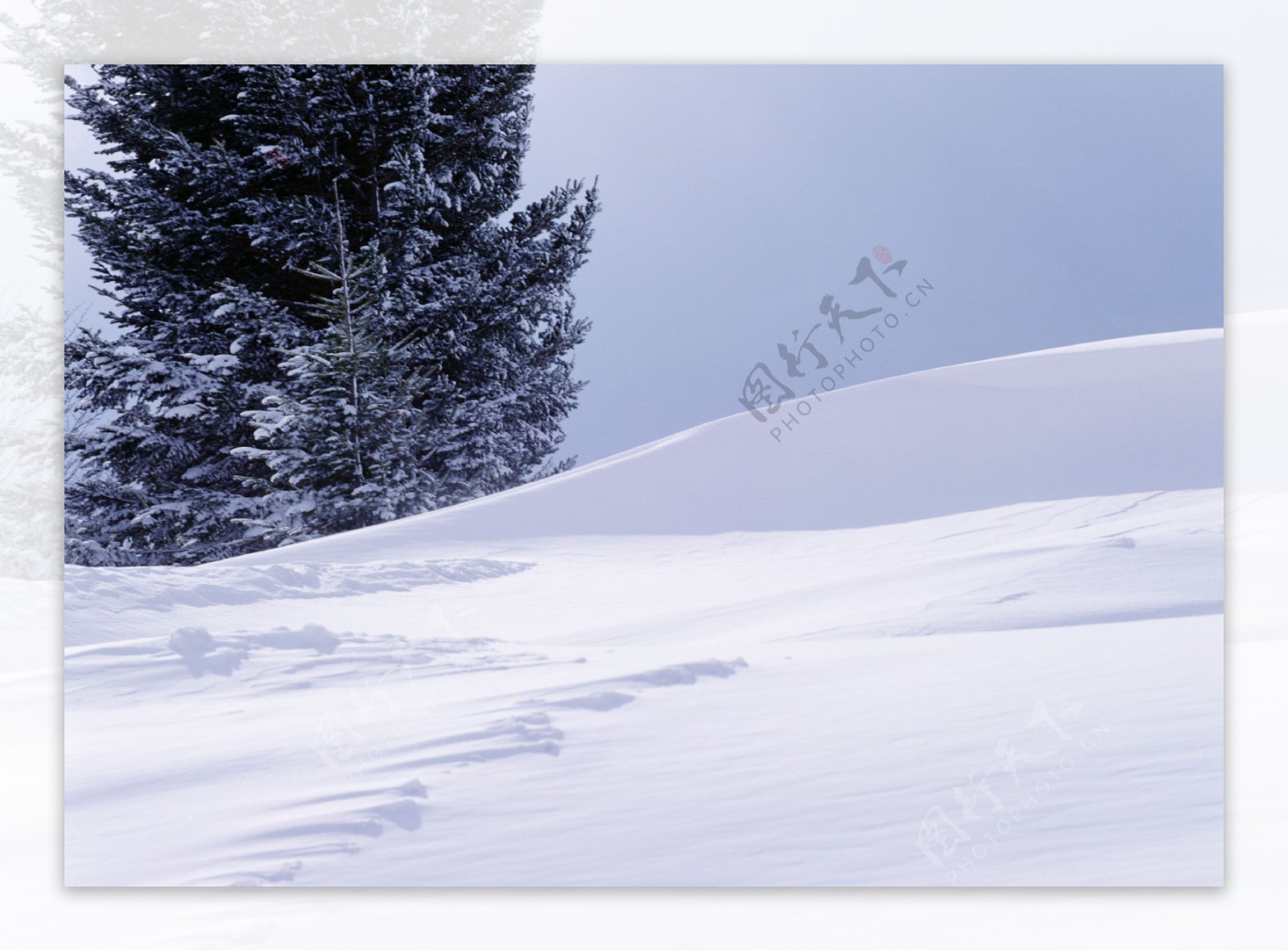 冰雪景象