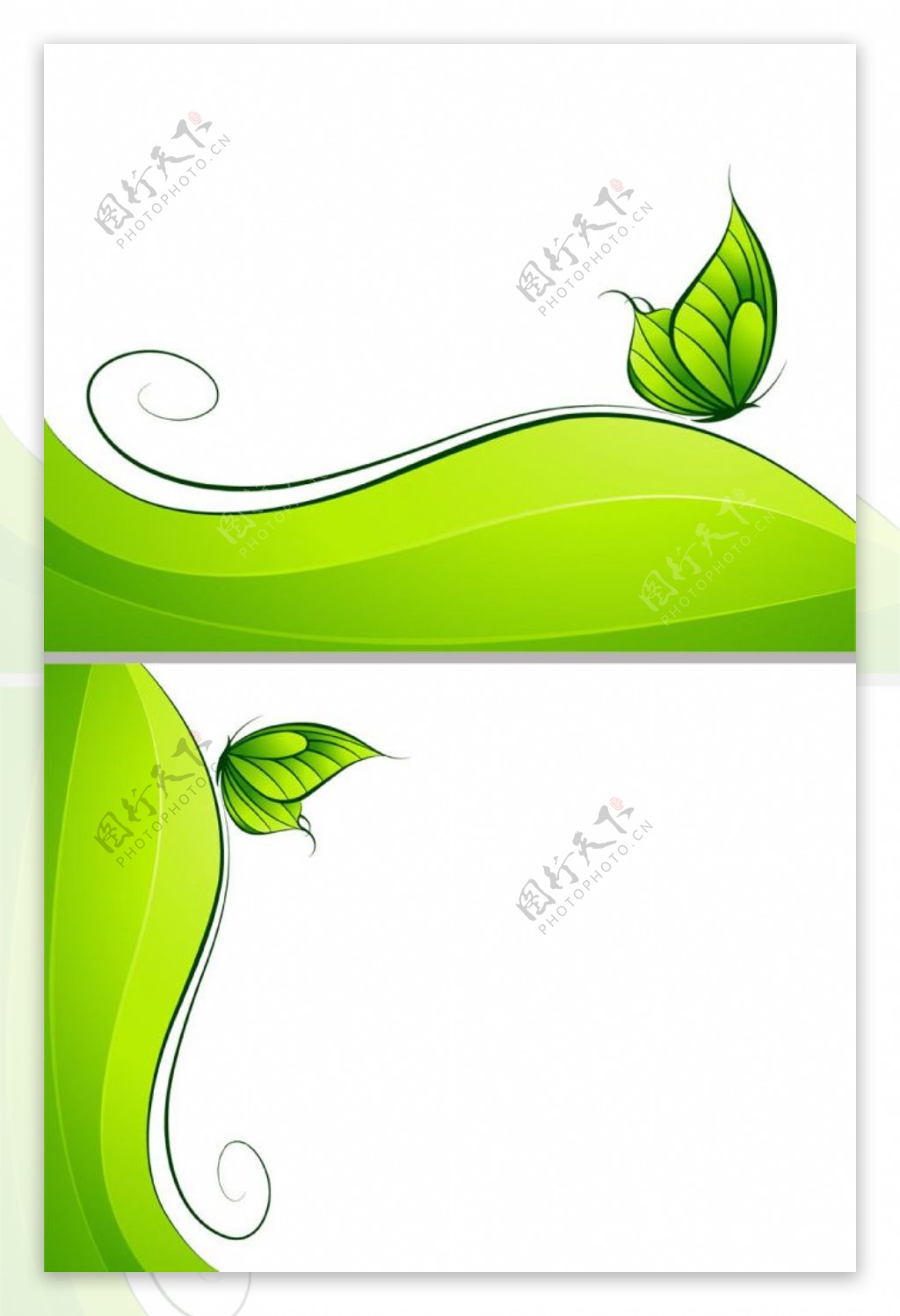 漂亮的绿蝴蝶ppt模板