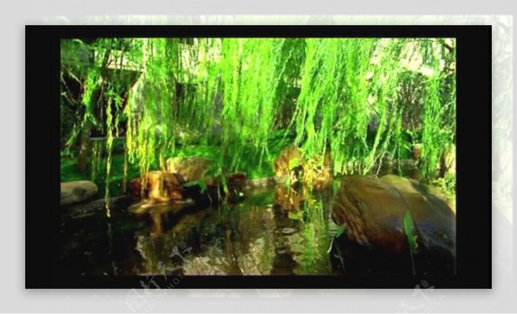 绿树池水视频素材素材下载