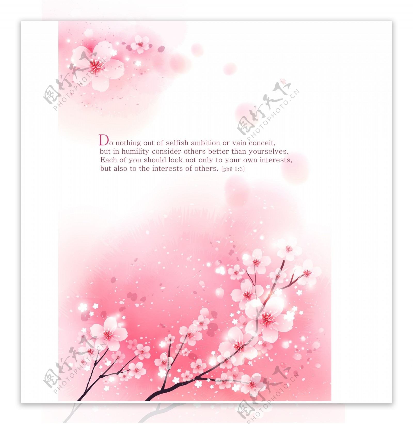粉色梅花背景素材模板免费下载