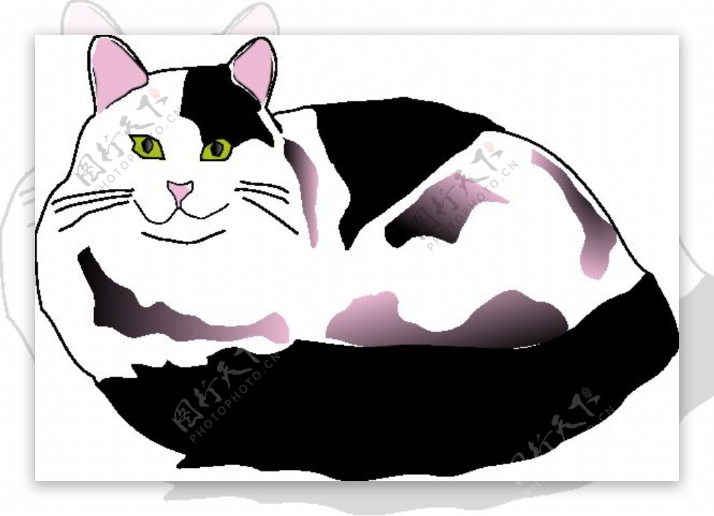 missiridia黑色和白色的毛茸茸的猫剪贴画
