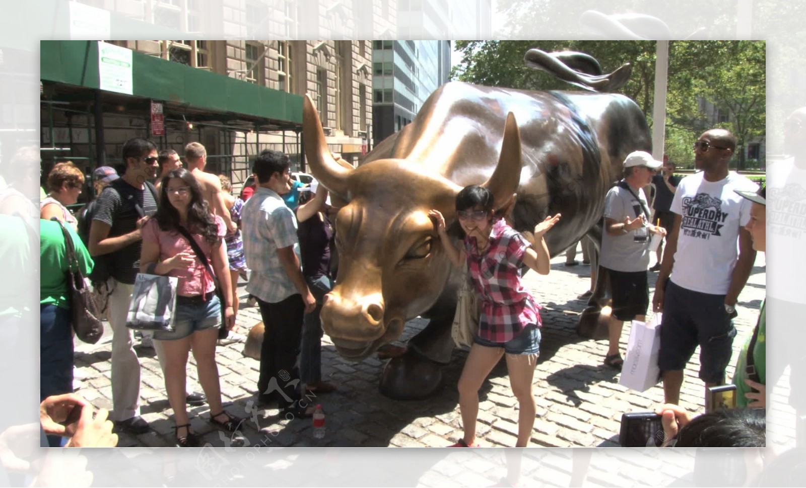 纽约证交所的公牛3关闭股票视频视频免费下载