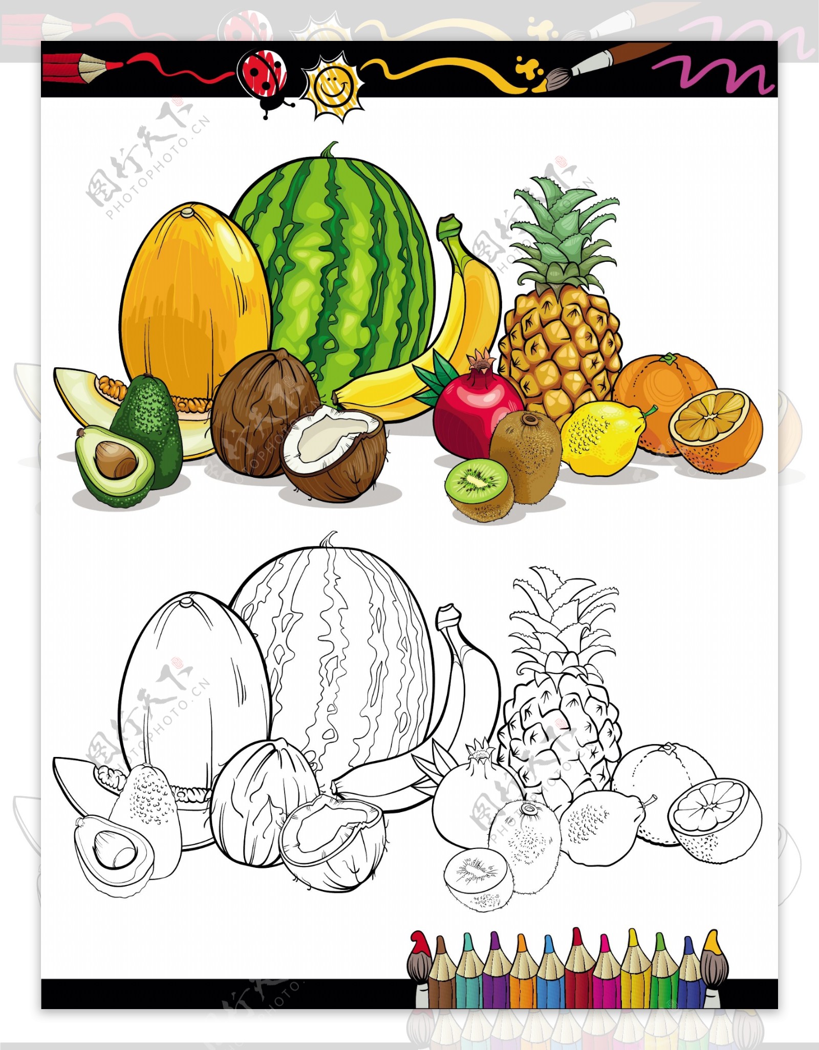 与素描的水果和蔬菜矢量04颜色