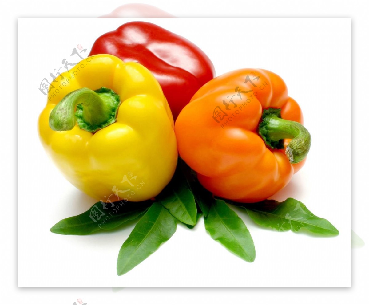 蔬菜柿子椒图片