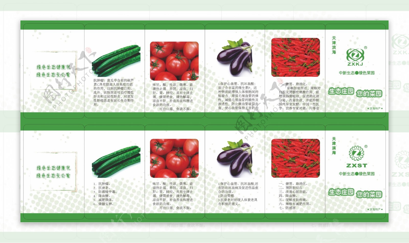 蔬菜五折页图片