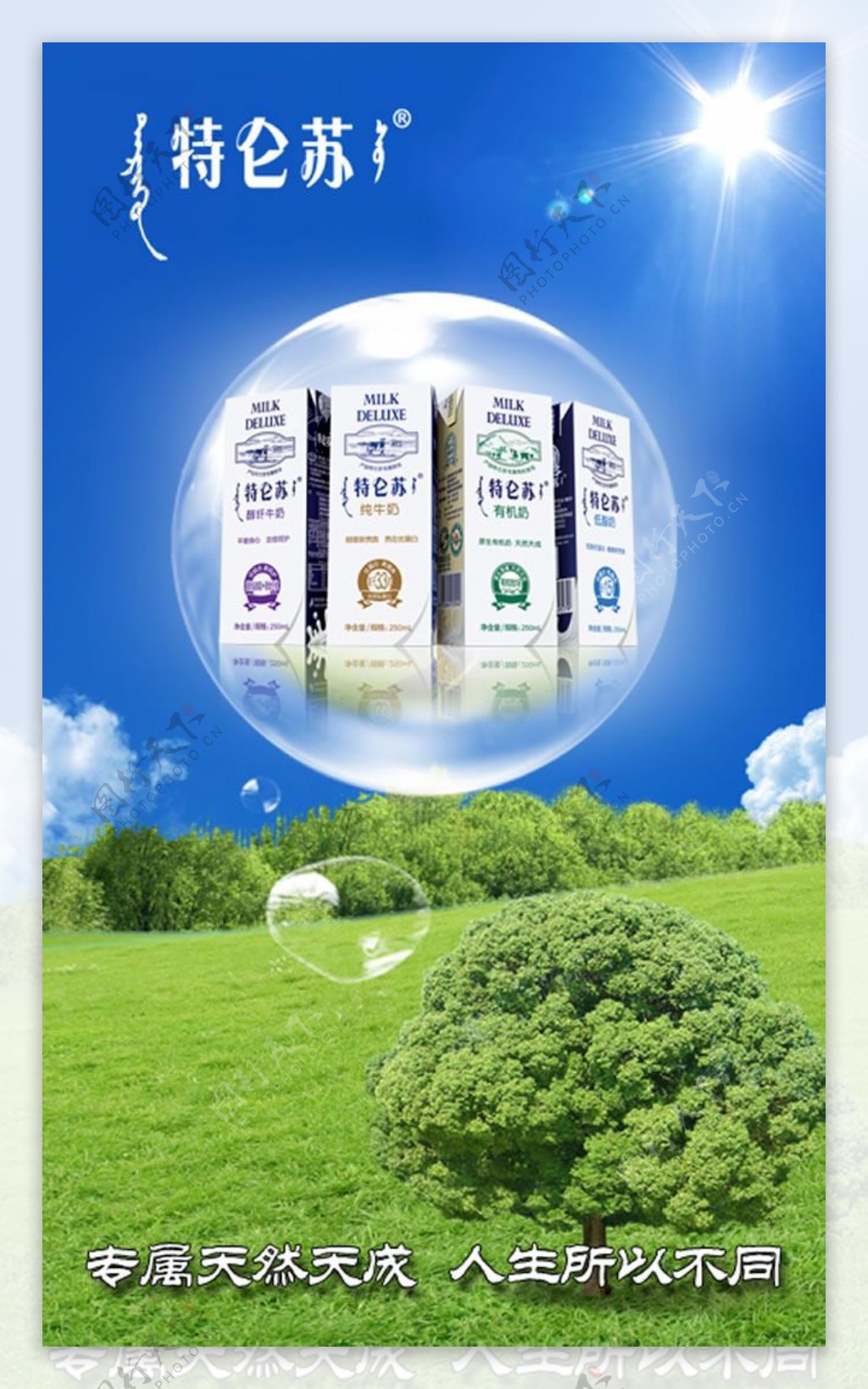 特仑苏牛奶广告PSD素材