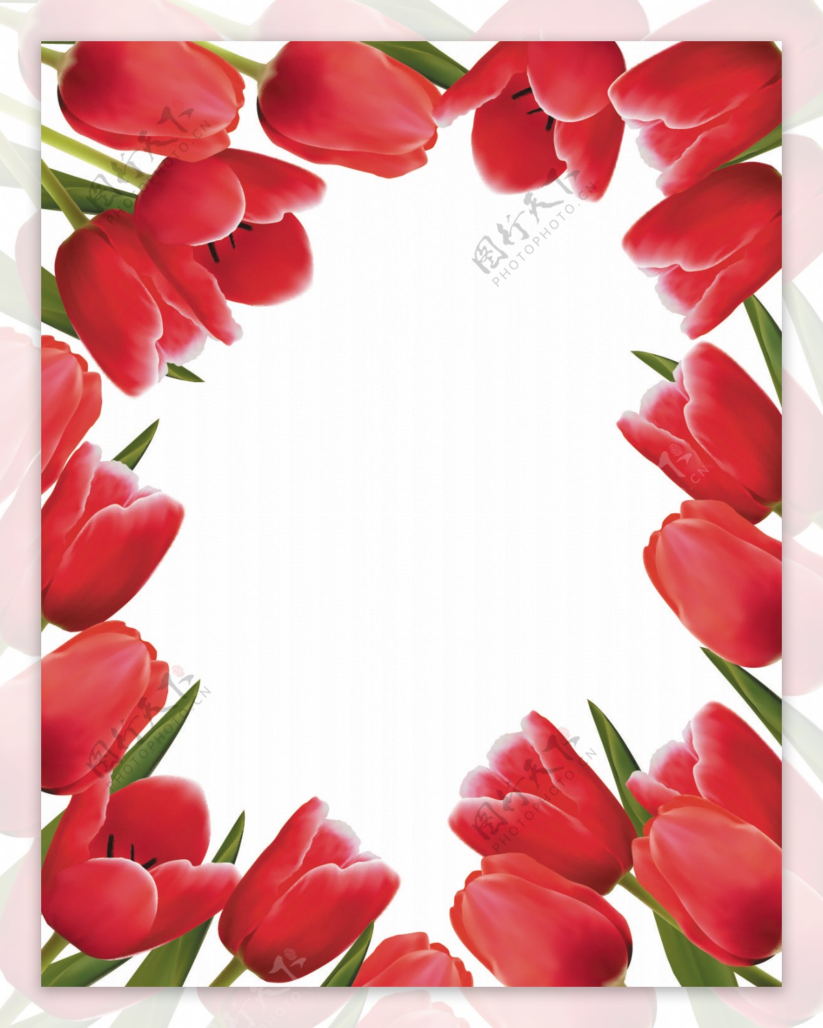 红花朵郁金香矢量素材