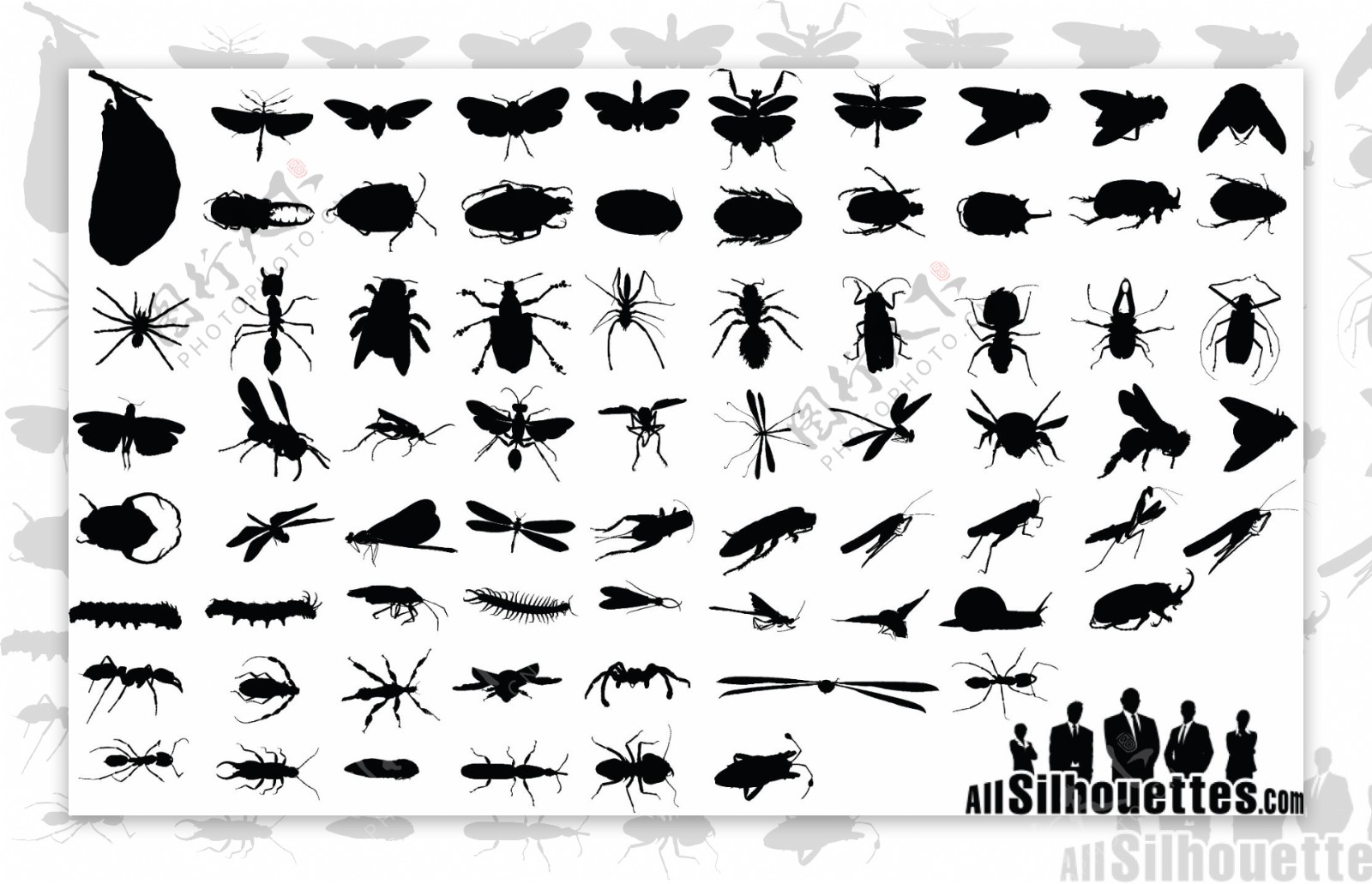 各种昆虫剪影图片