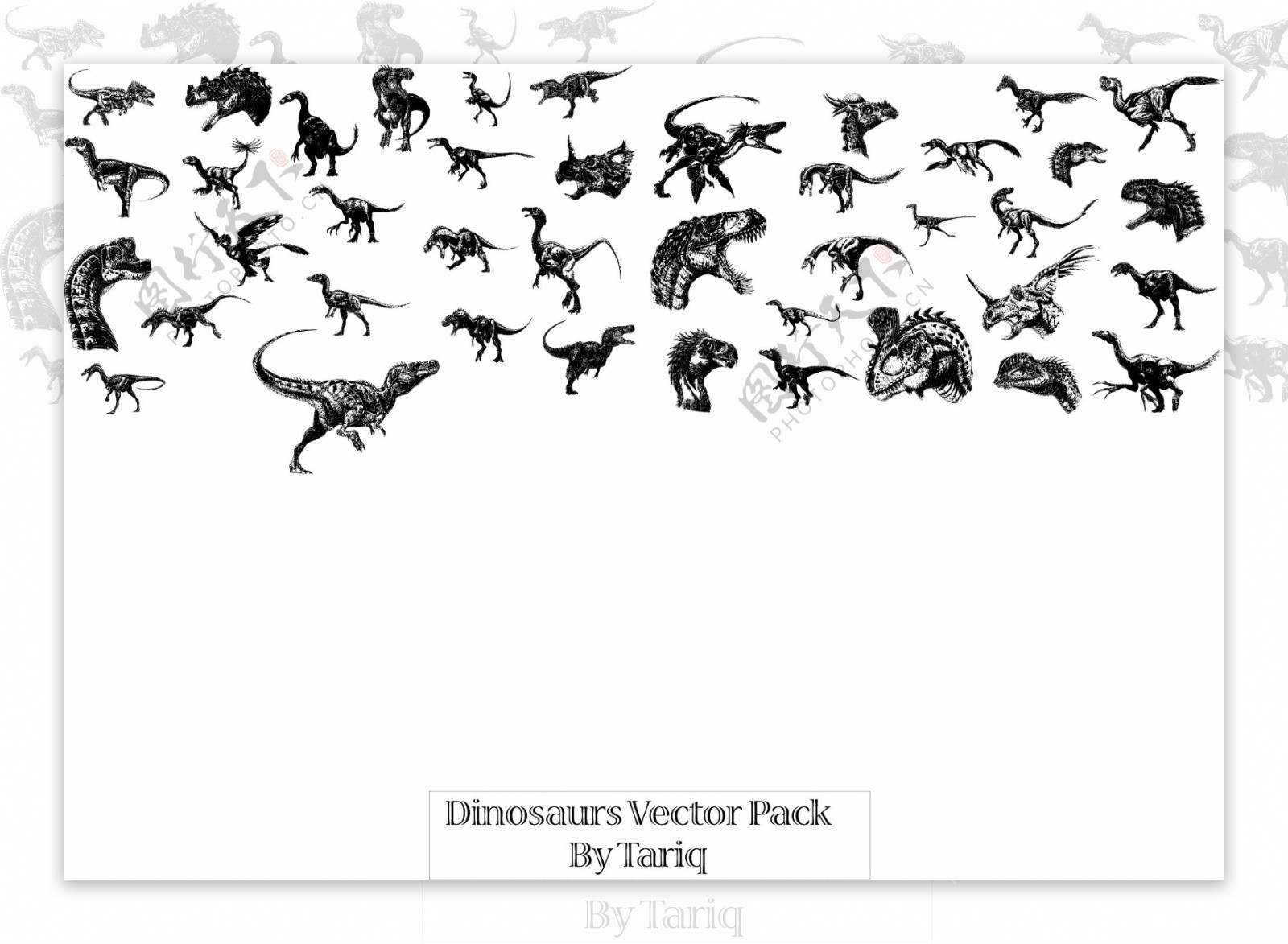 矢量恐龙图片