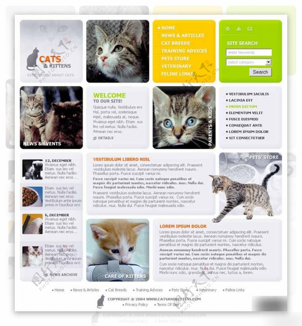 宠物猫商店网页模板