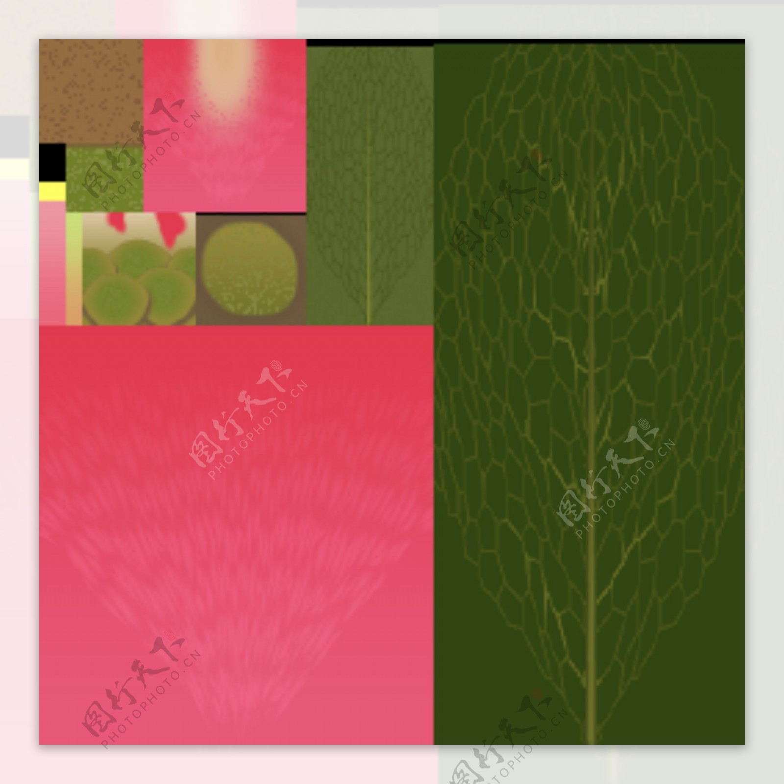 植物花草装饰素材室内装饰用品素材花草装饰素材25
