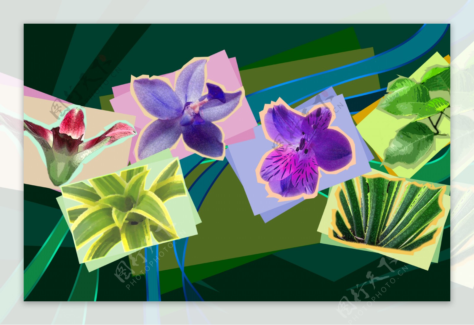 花卉背景创意设计图图片