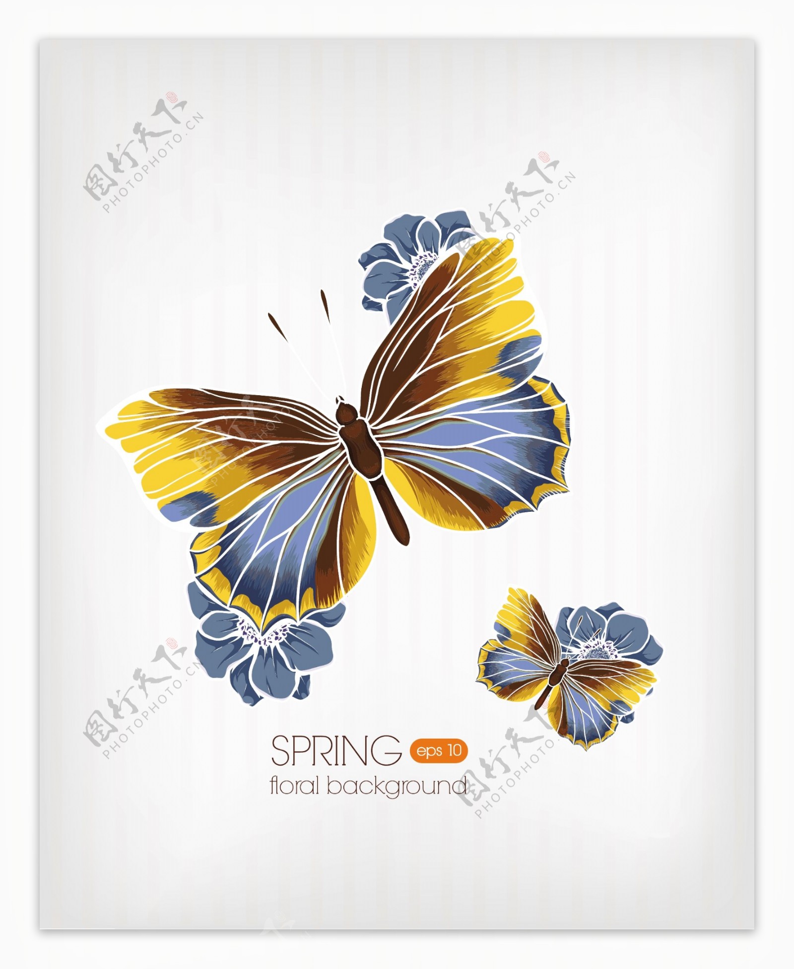 美丽的蝴蝶背景矢量素材02