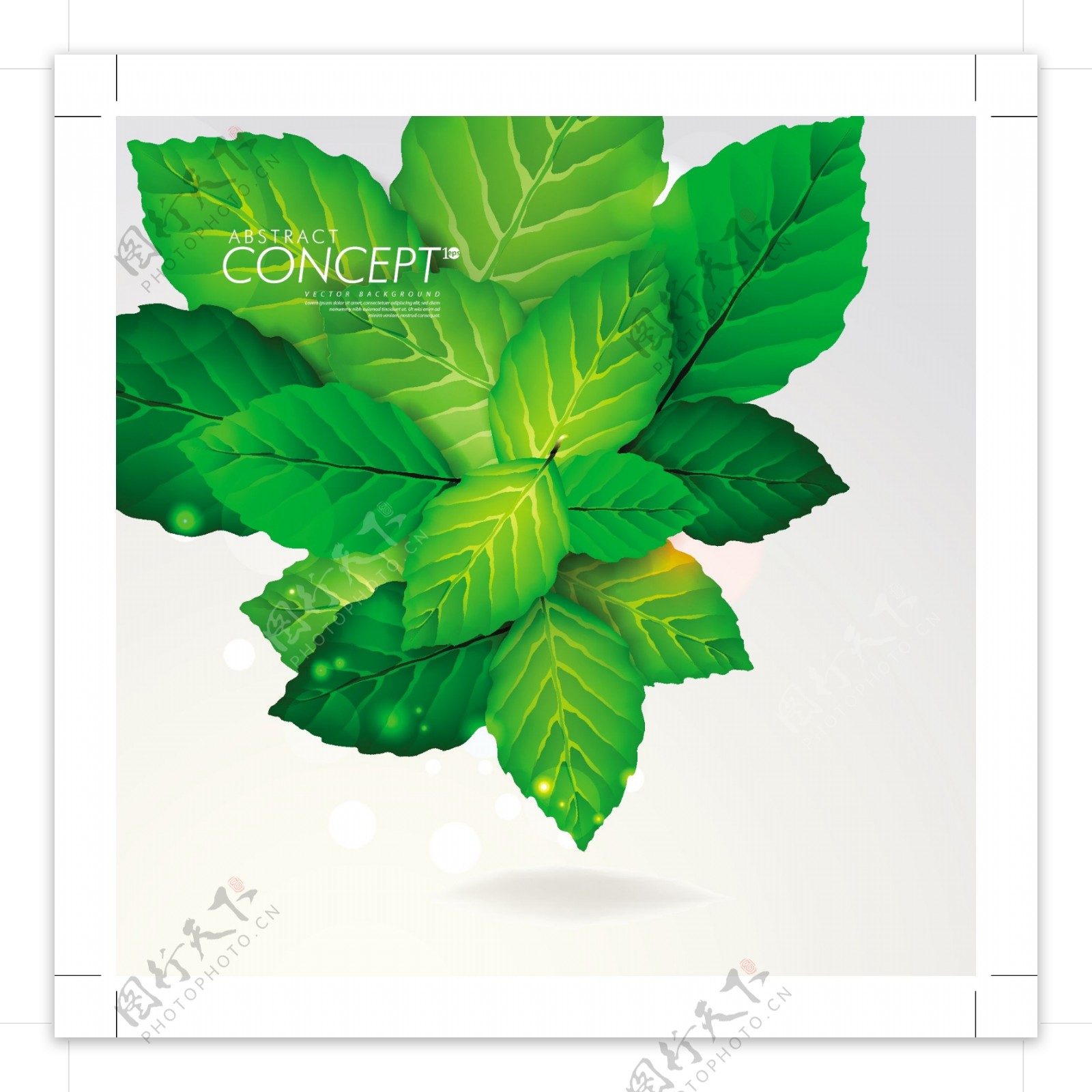 翠绿树叶卡片设计