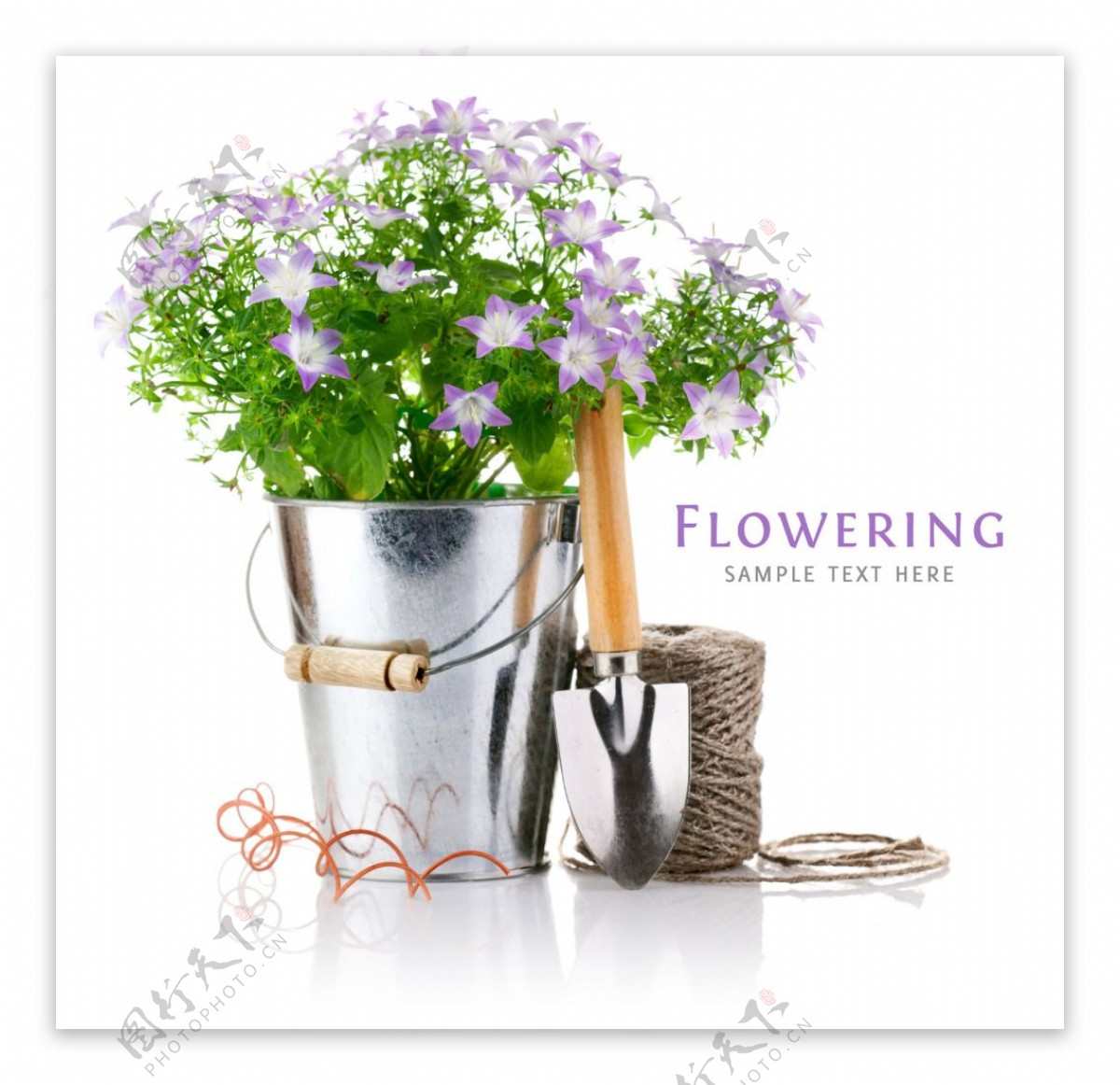花卉植物与园艺工具