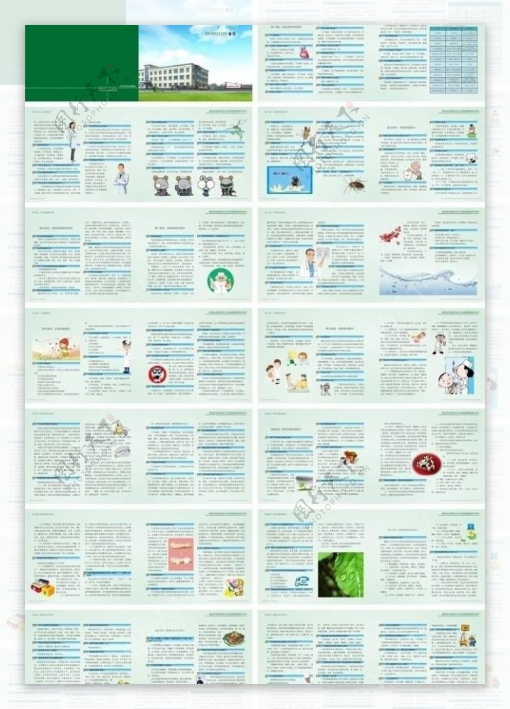 健康教育画册设计图片