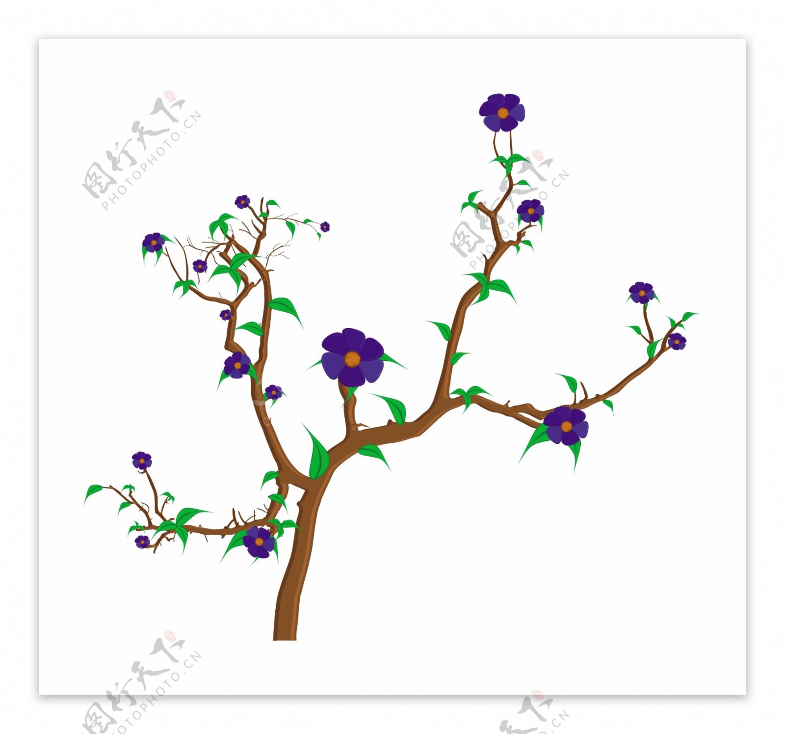 紫色的花秋树