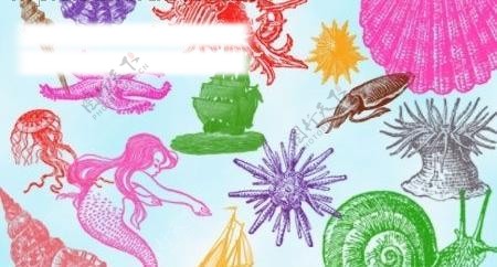 卡通海洋生物笔刷图片