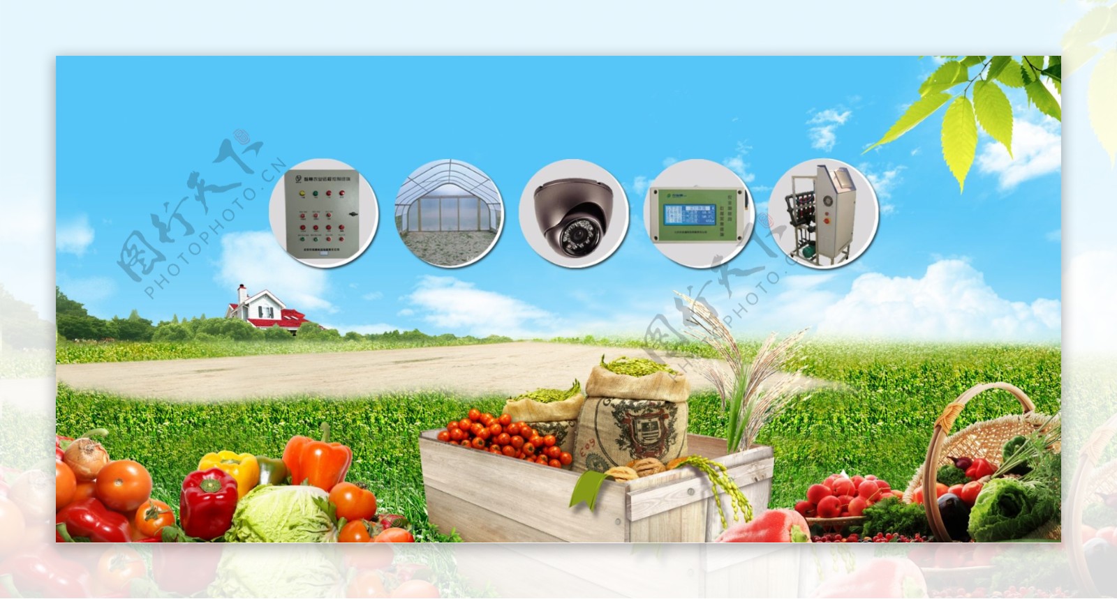 农业物联网设备蔬菜