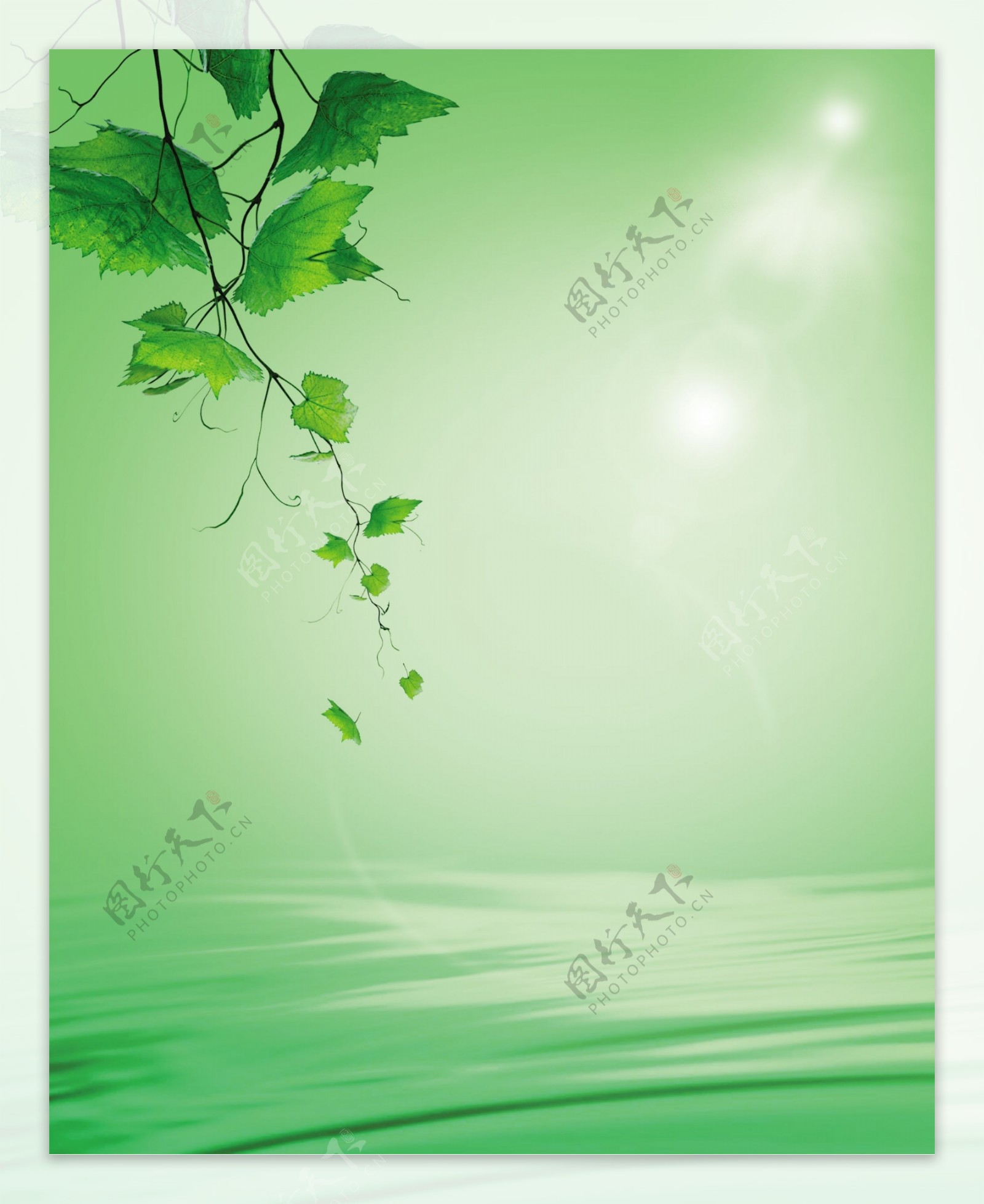 绿色环保生态清爽淡雅优雅背景模板