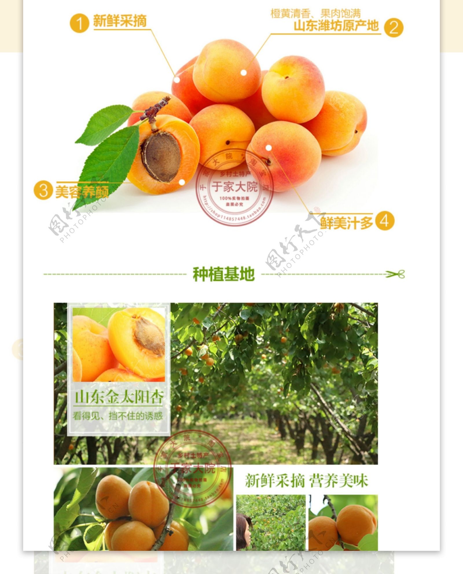 淘宝水果杏子详情页面