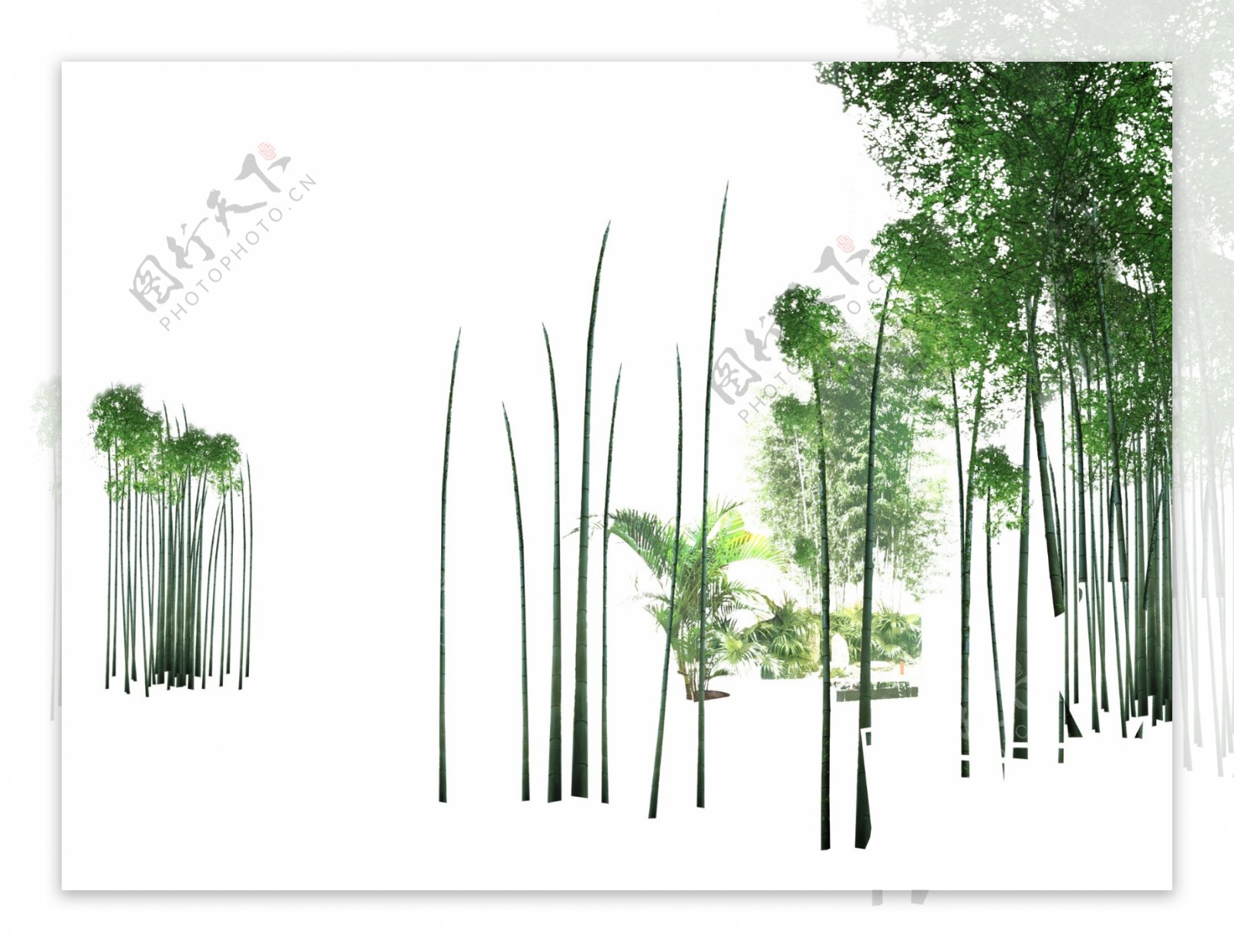 竹系列之五图片