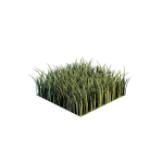 3D草模型