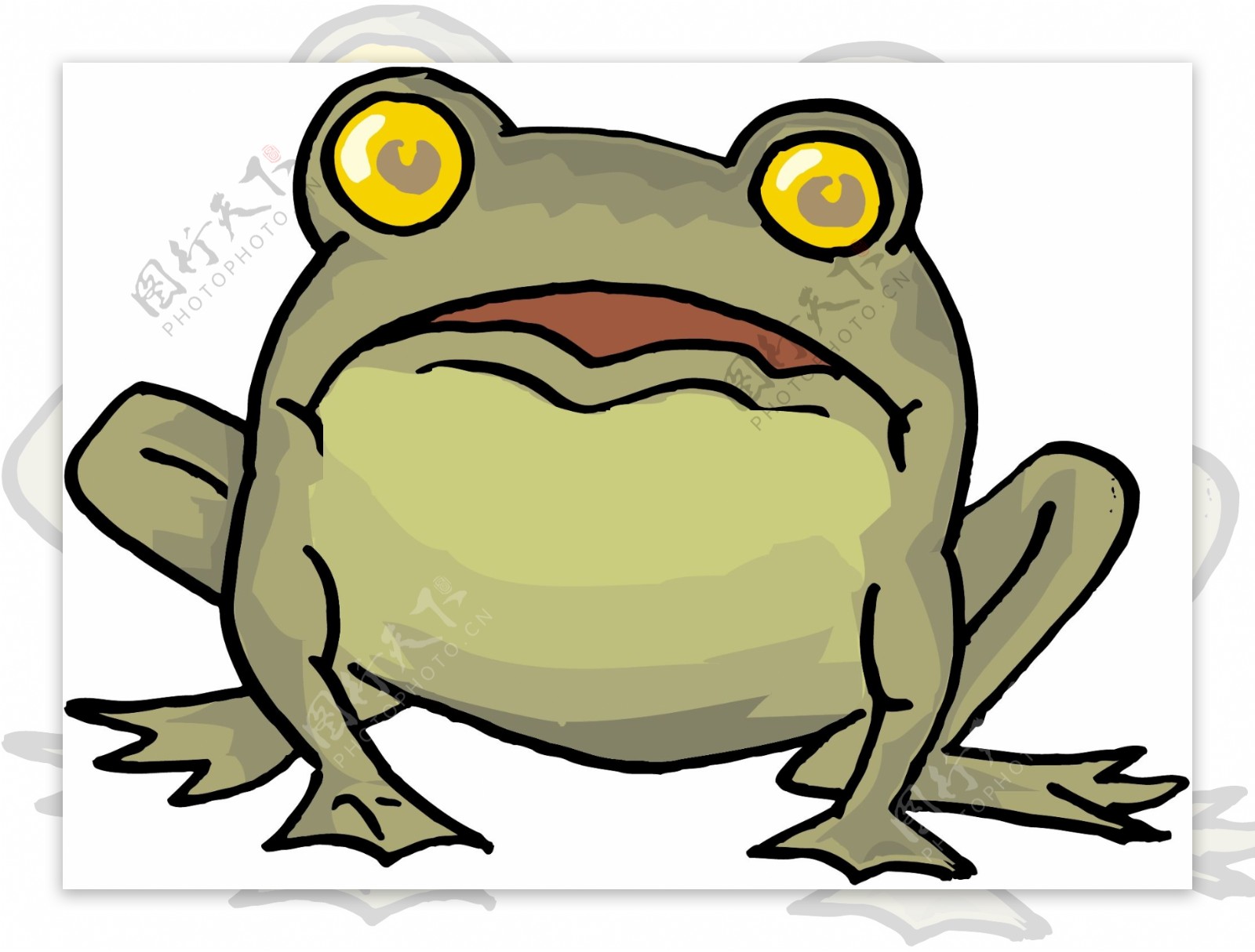 青蛙25