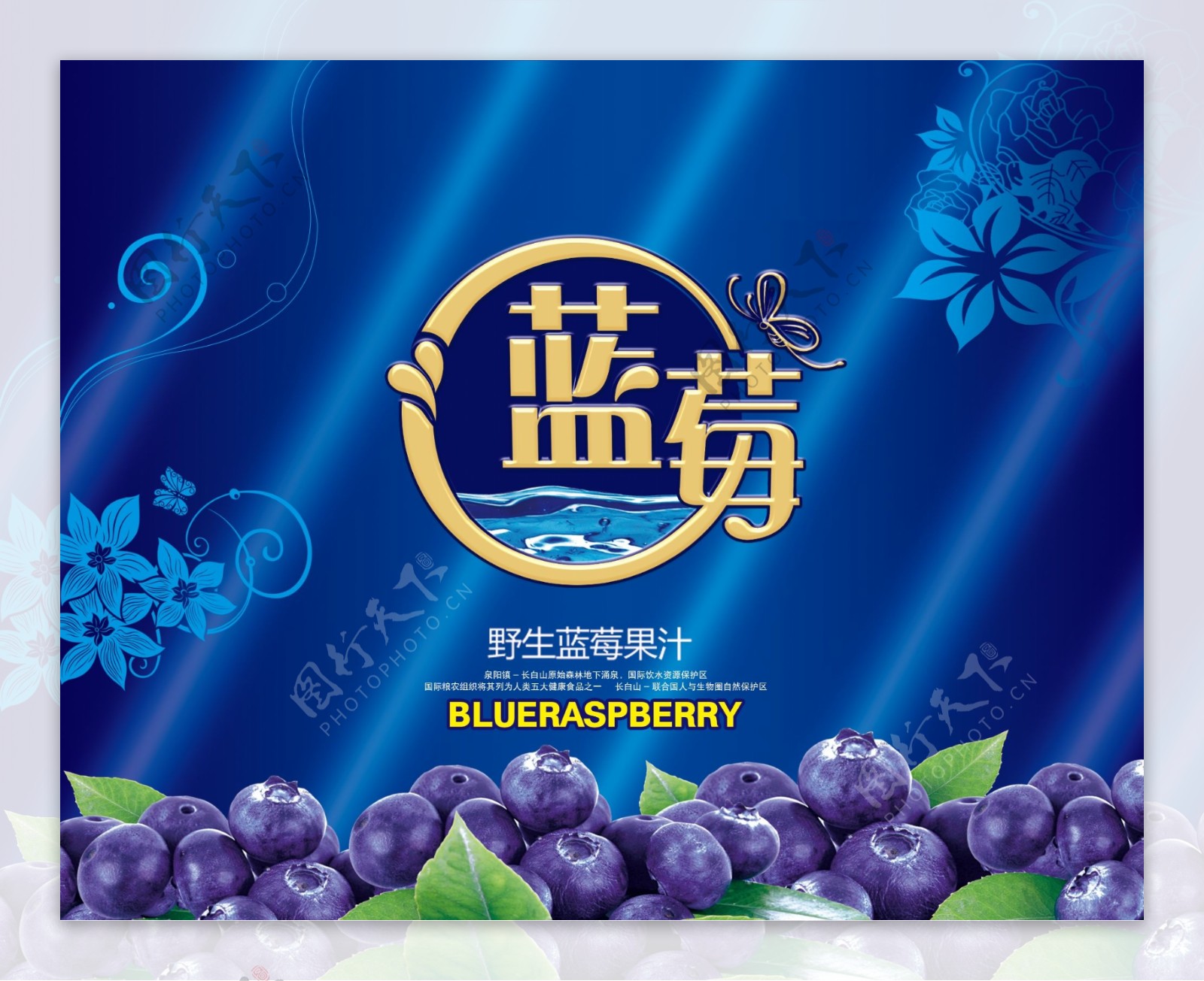 蓝莓包装盒平面图图片
