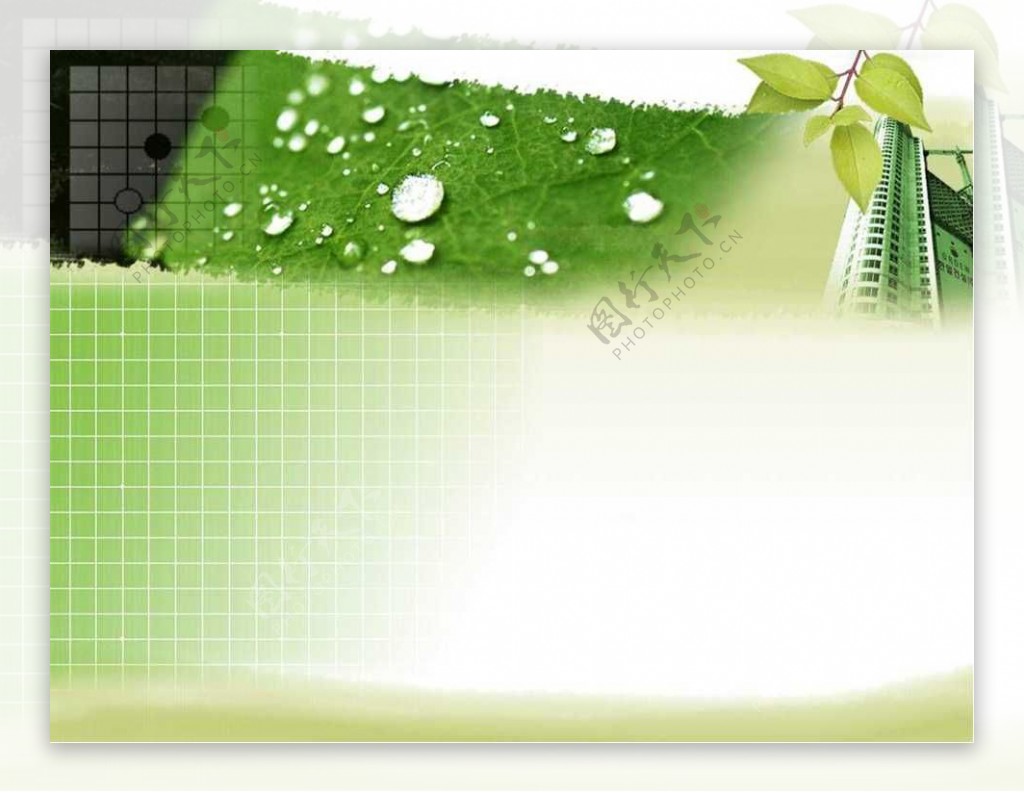 绿色树叶背景植物PPT模板