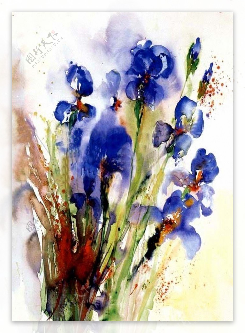 位图优雅植物花卉色彩水彩艺术效果蓝色免费素材