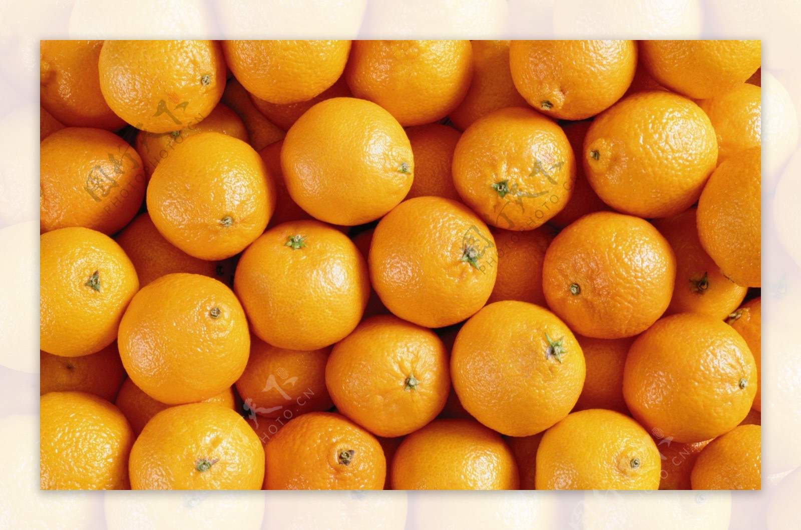 一片橘子的高清晰图片素材