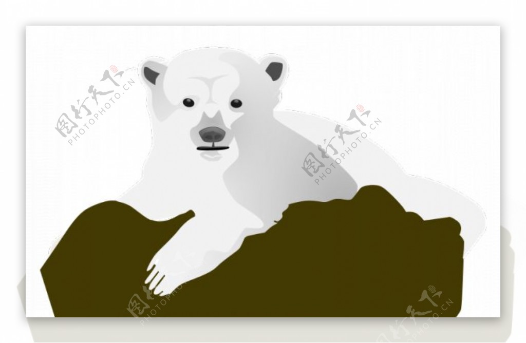 北极熊的矢量图像