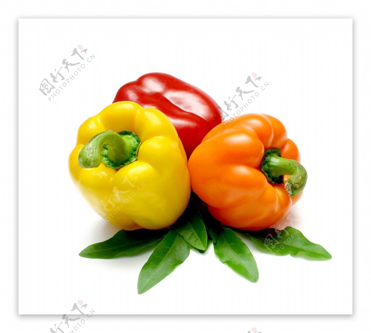 辣椒蔬菜图片